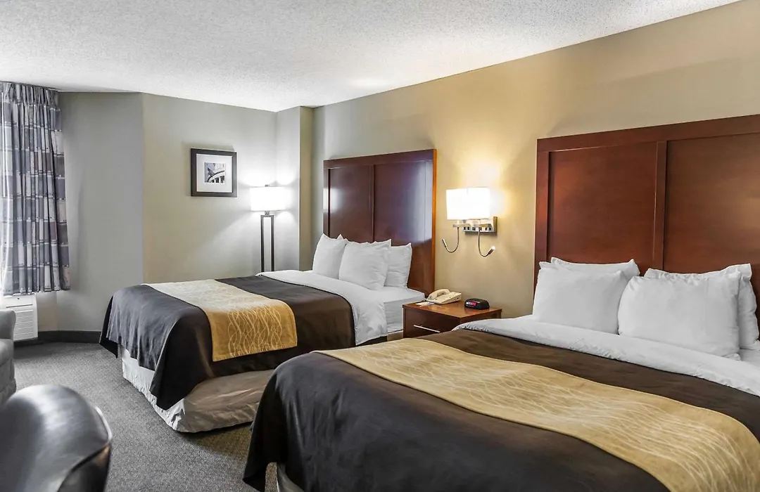 Comfort Inn Pentagon City-1