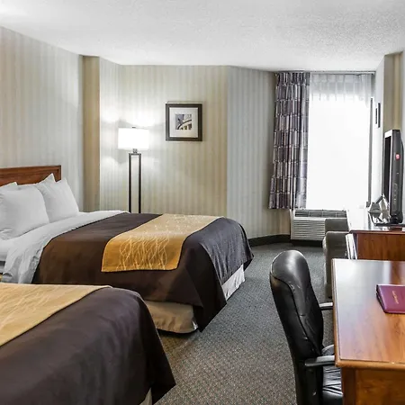 Comfort Inn Pentagon City-3